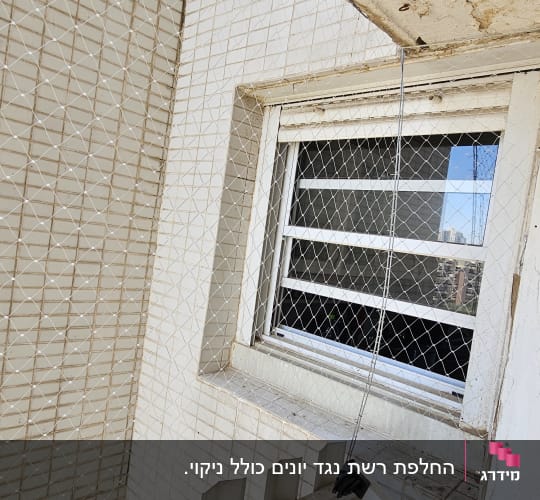 רשת הגנה מותקנת על חלון למניעת כניסת יונים